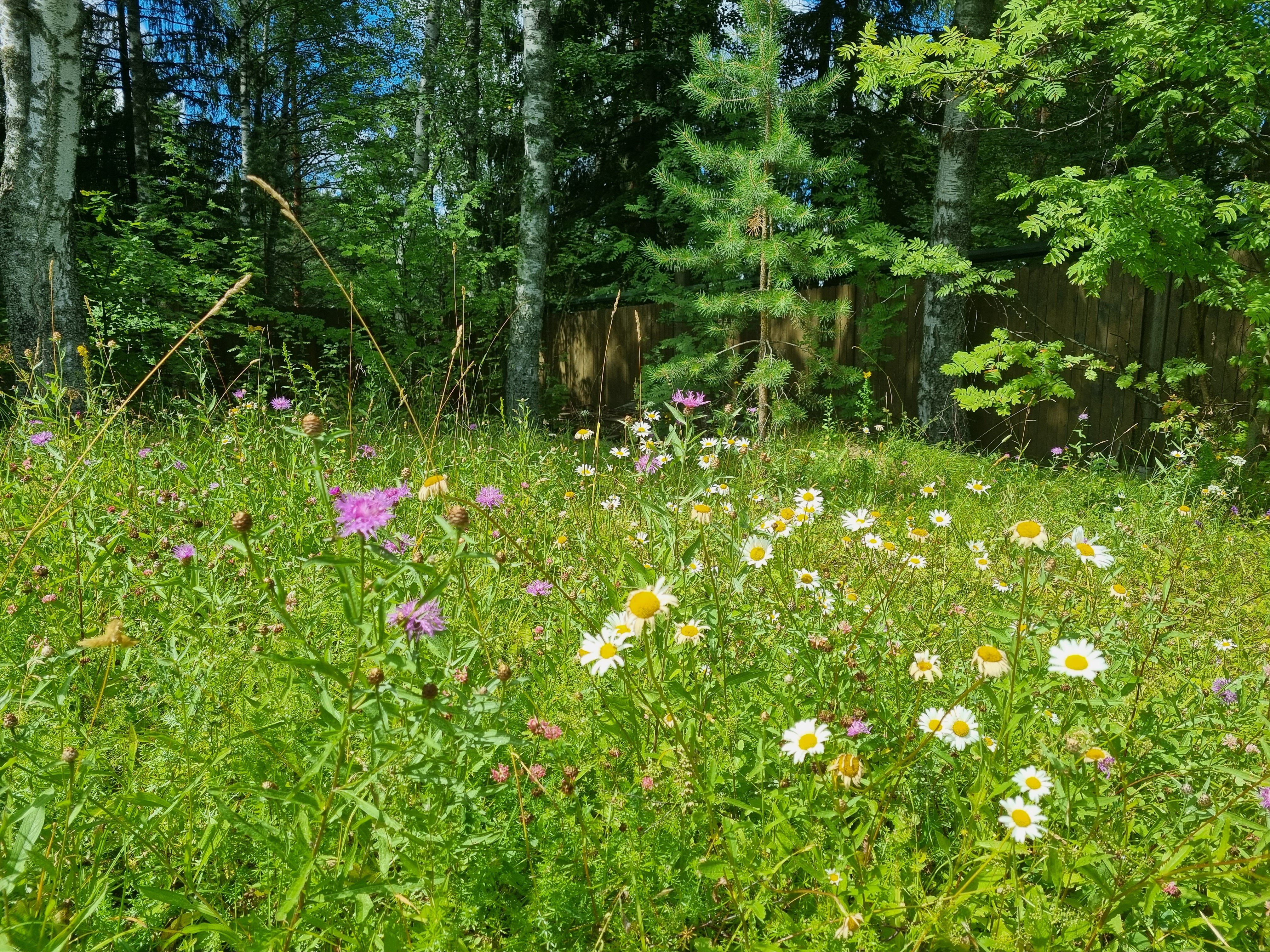 Фото Hidden Plyos