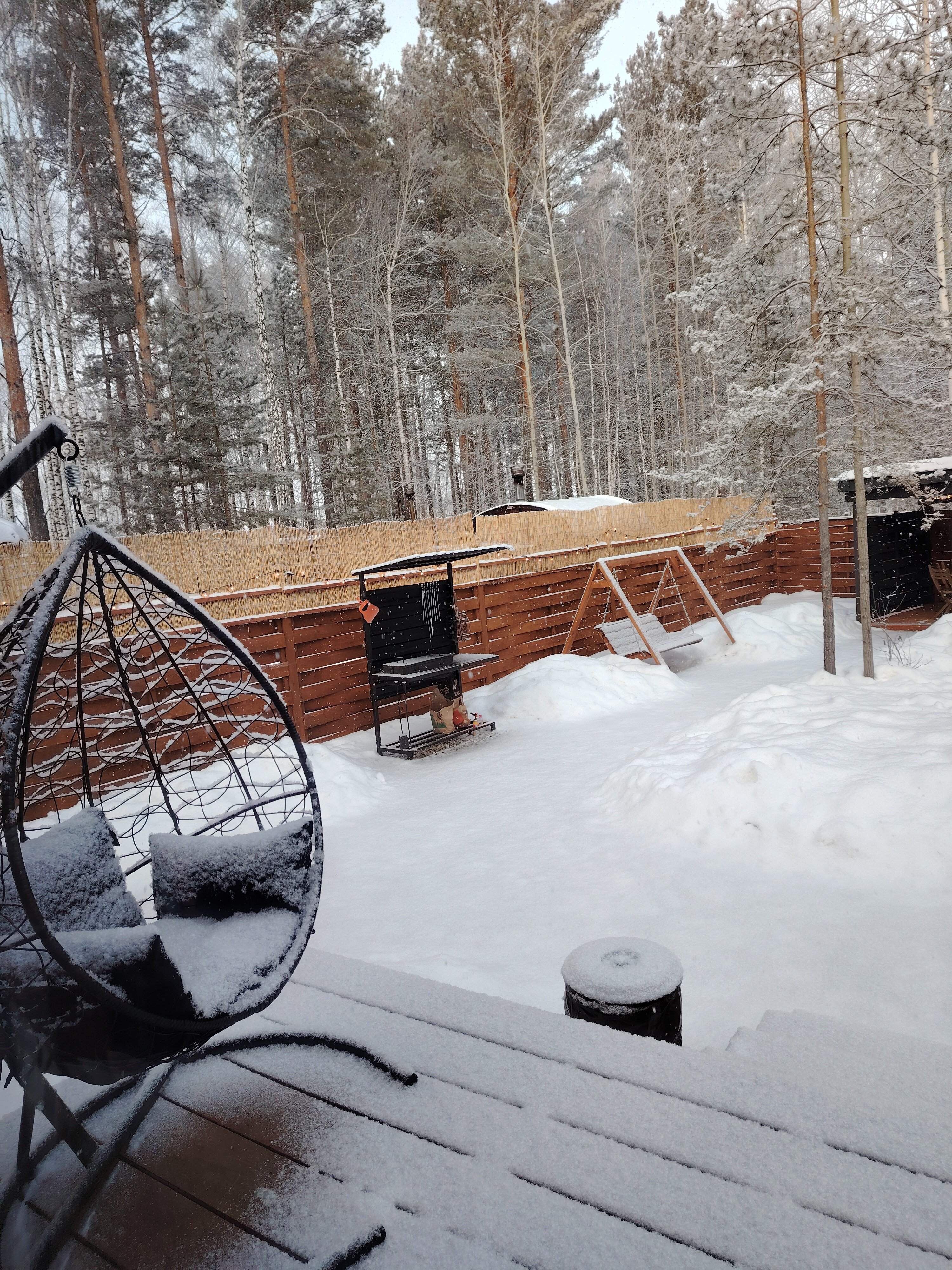 Фото 13 Берёз