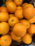 Korzinka (Neftebazny pereulok, 3Б) ، محل بقالة