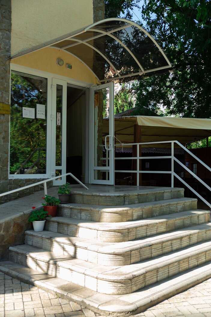 Фото Камелия-Кафа