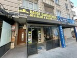 Avenue Real Estate Auto Gallery (İstanbul, Esenyurt, Pazaryolu Cad., 90-94), car dealership