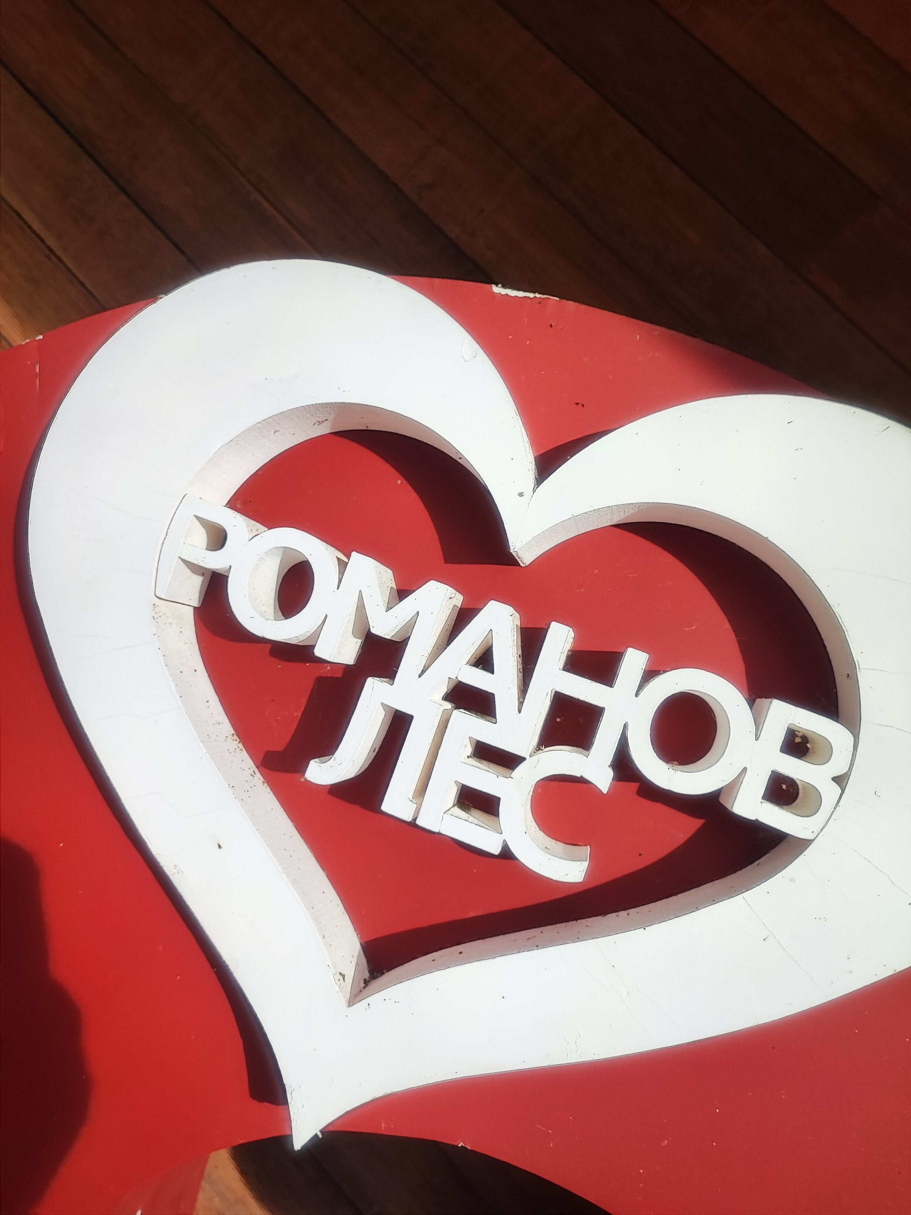 Фото Романов лес