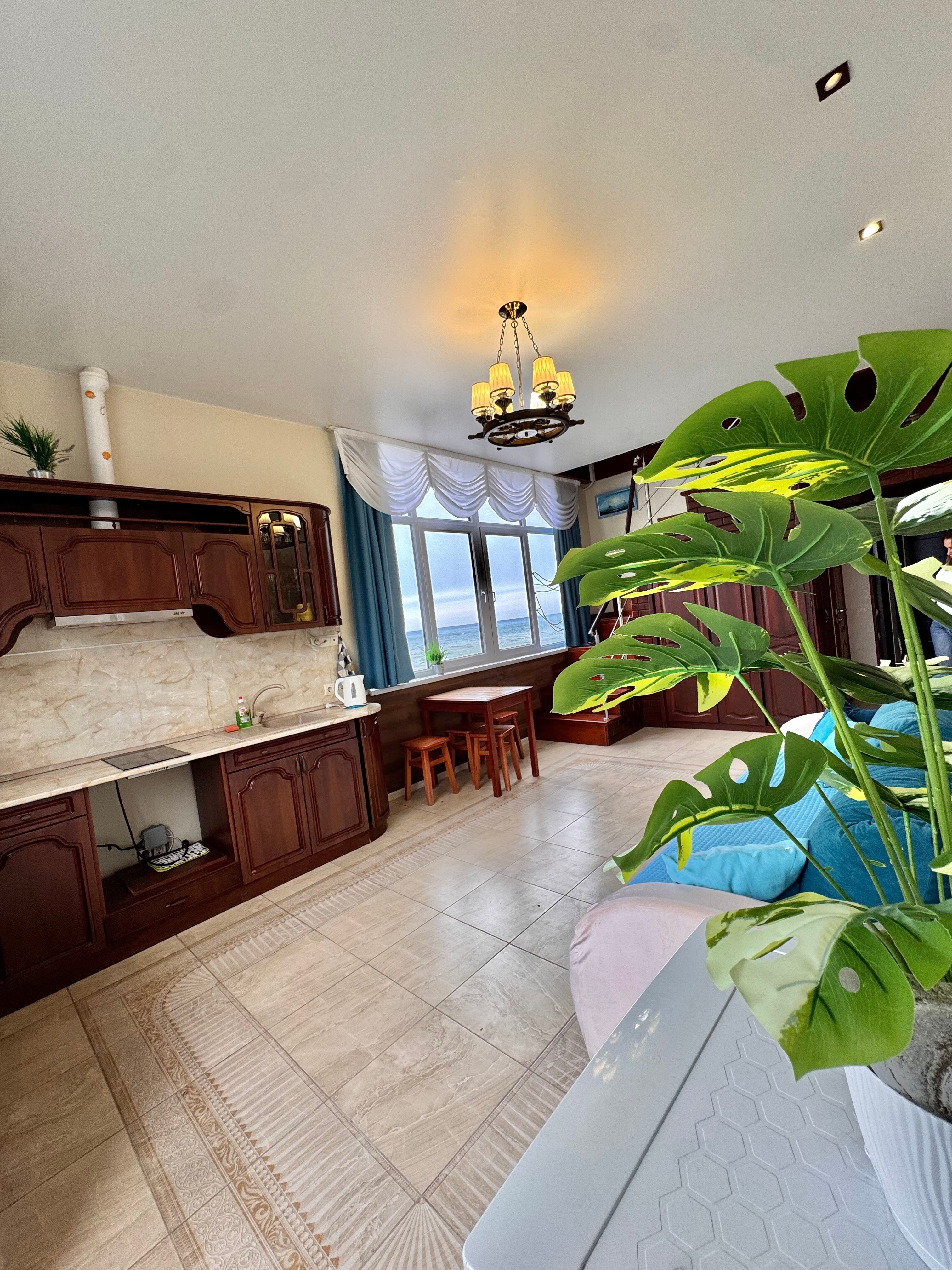 Фото Дельфин