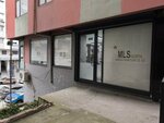 Mls Sigorta (İstanbul, Gaziosmanpaşa, Merkez Mah., Eyüp Cad., 36A), insurance broker