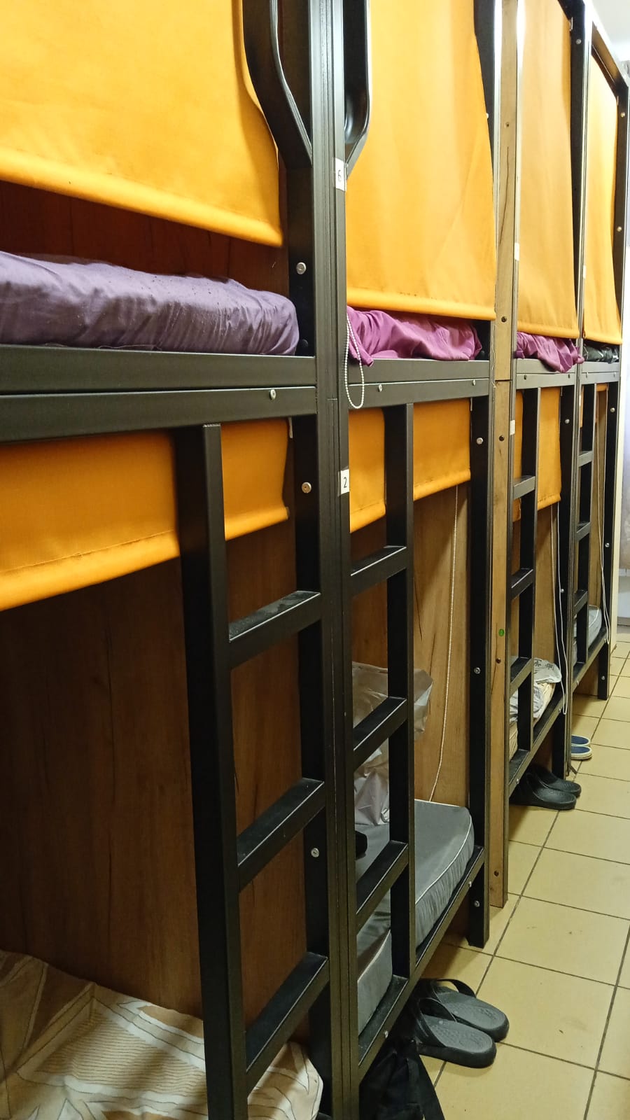 Фото Вежливый лось