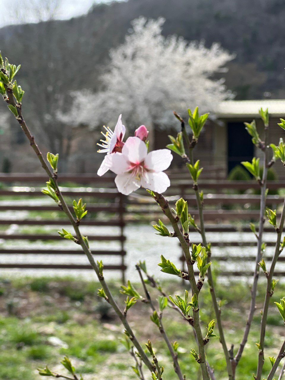 Фото Под звёздами