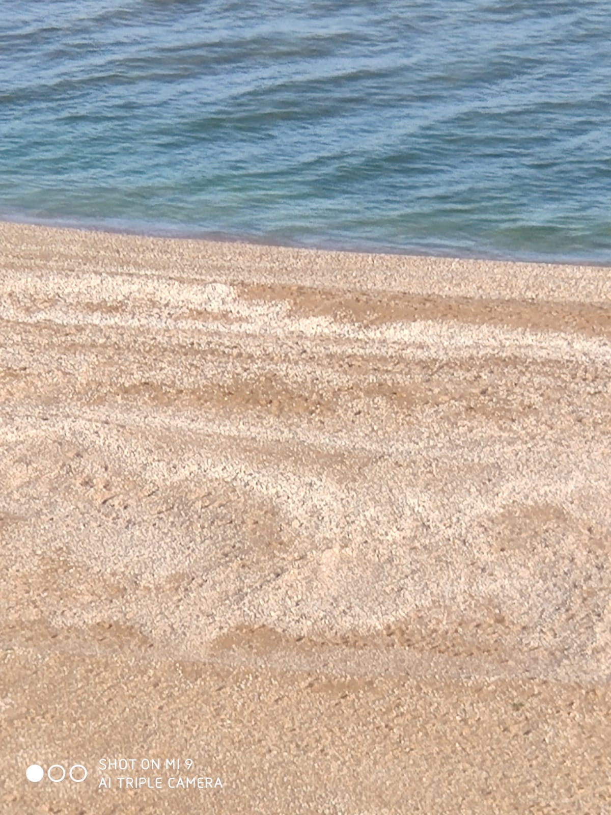 Фото Генеральские домики