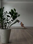Woman's Way (Kuznetsova Street, 30), fitness club