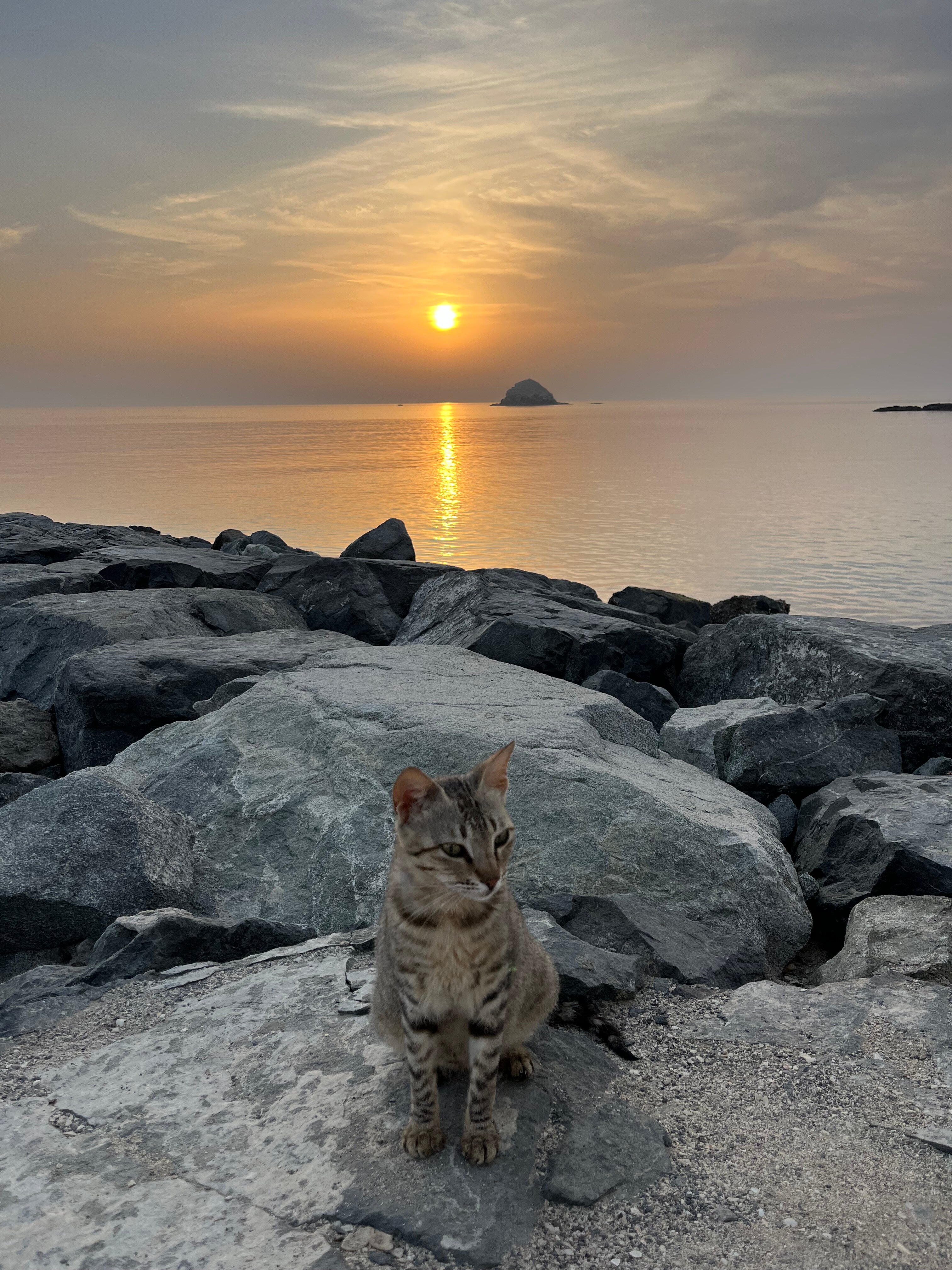 Фото Radisson Blu Resort Fujairah