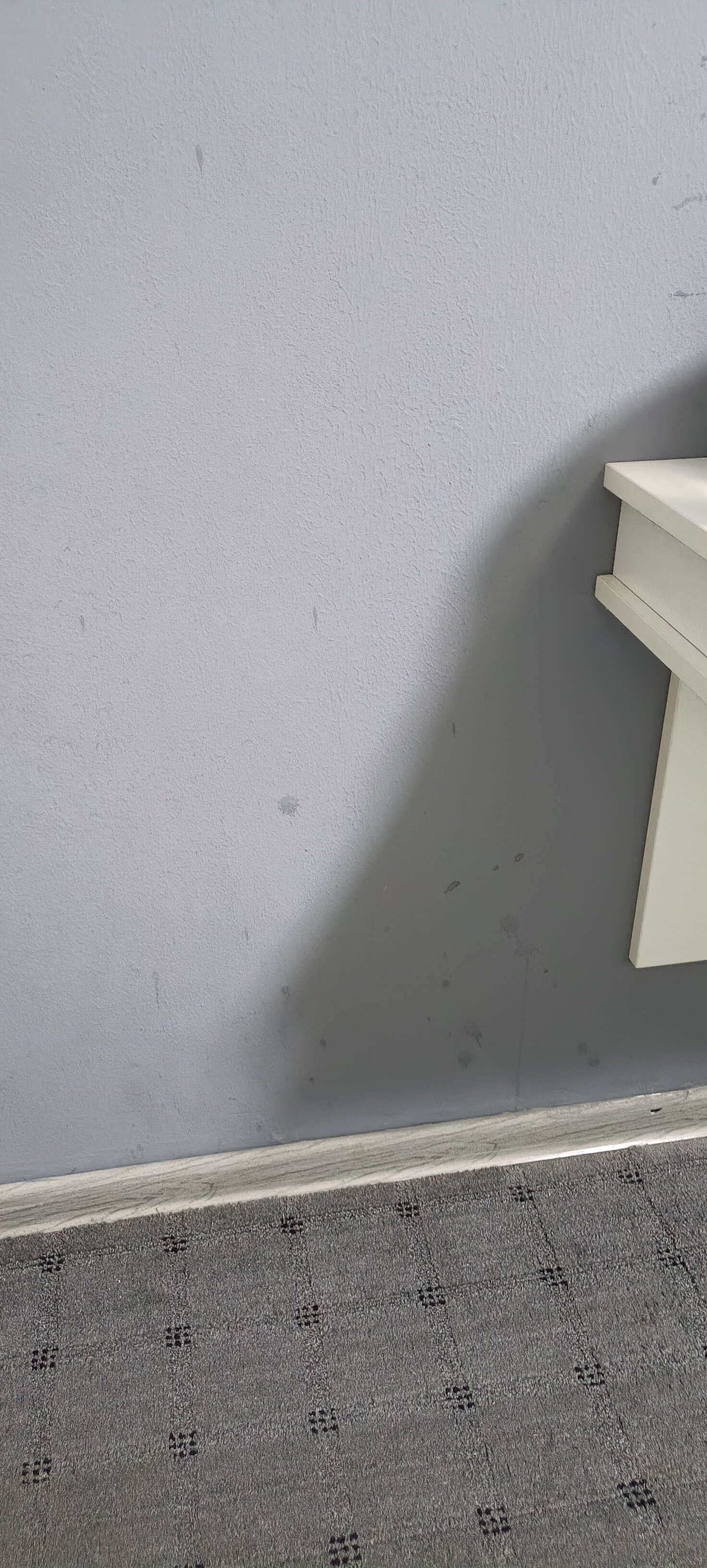 Фото Discovery Hotel