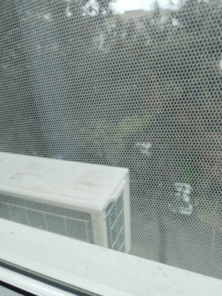 Playground Playground, Gelendgik, photo