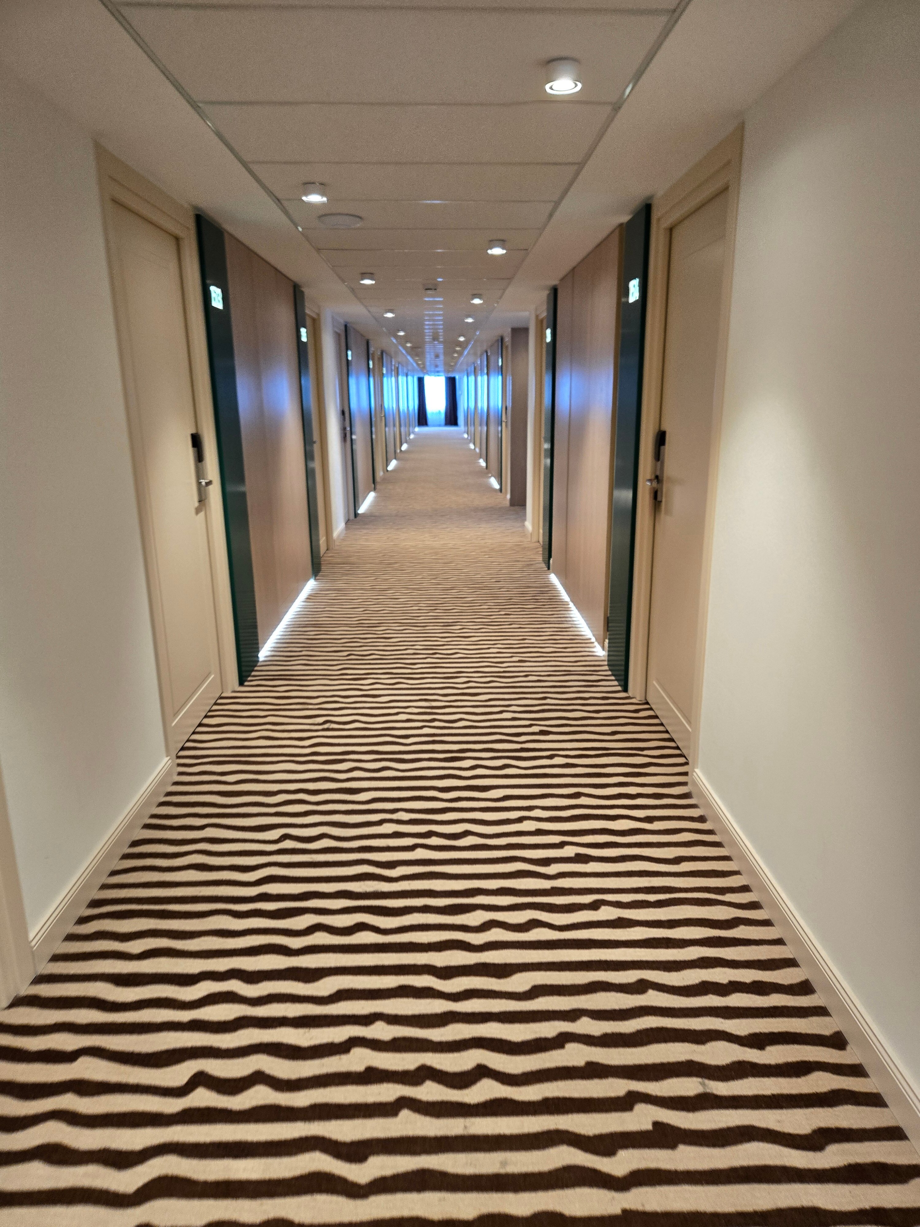 Фото Тирвас