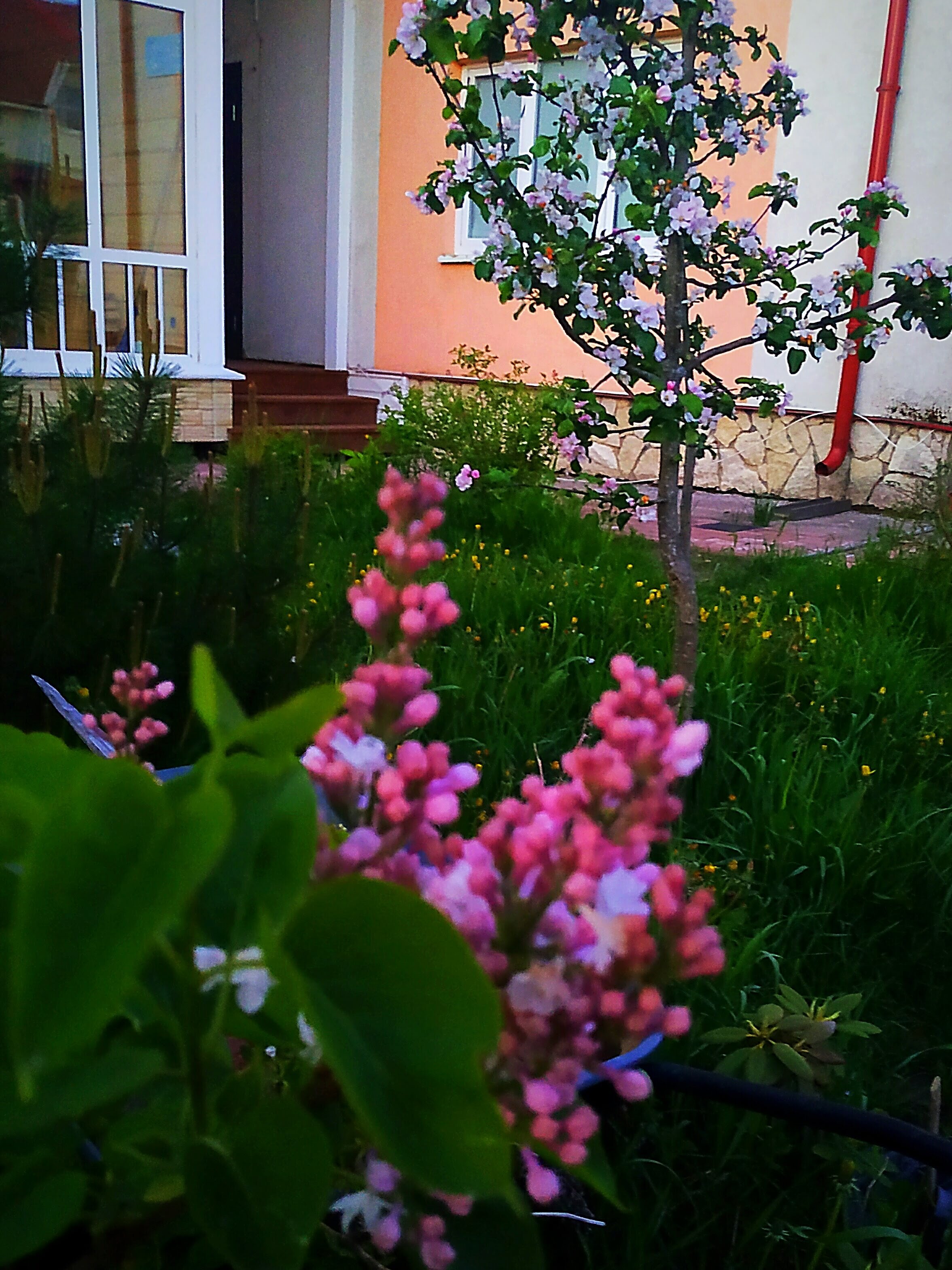 Фото Гармония