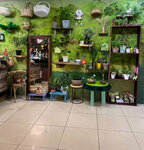 Livdeoil (1st Melitopolskaya Street, 2А), flower shop