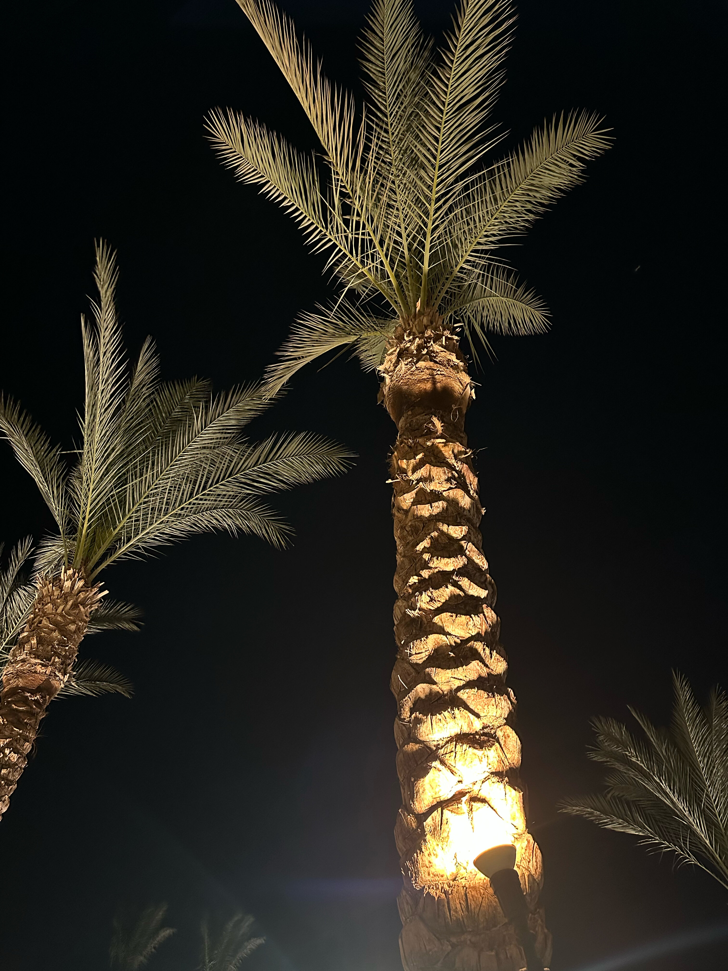 Фото Coral Sea WaterWorld