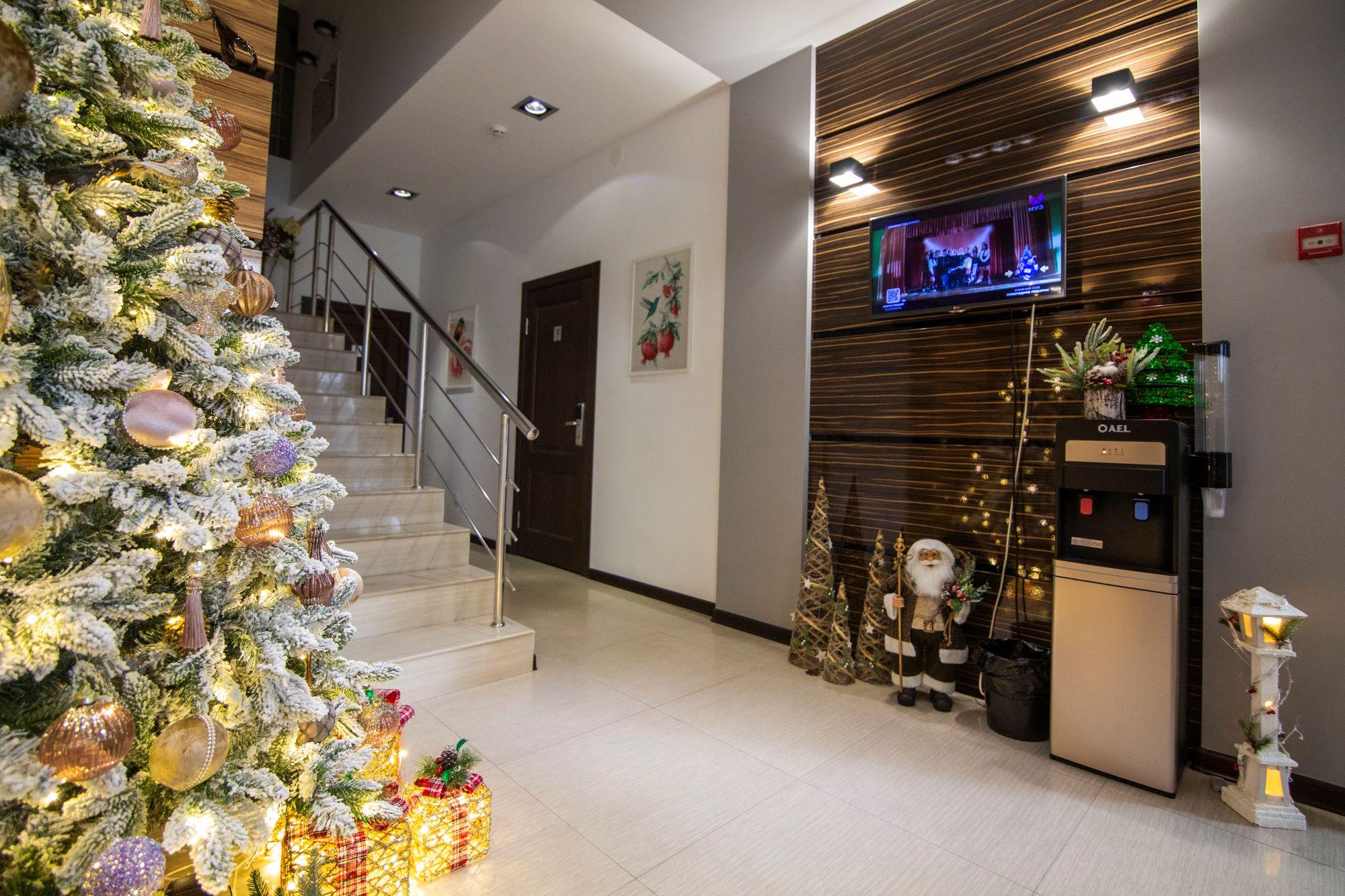 Фото Колибри