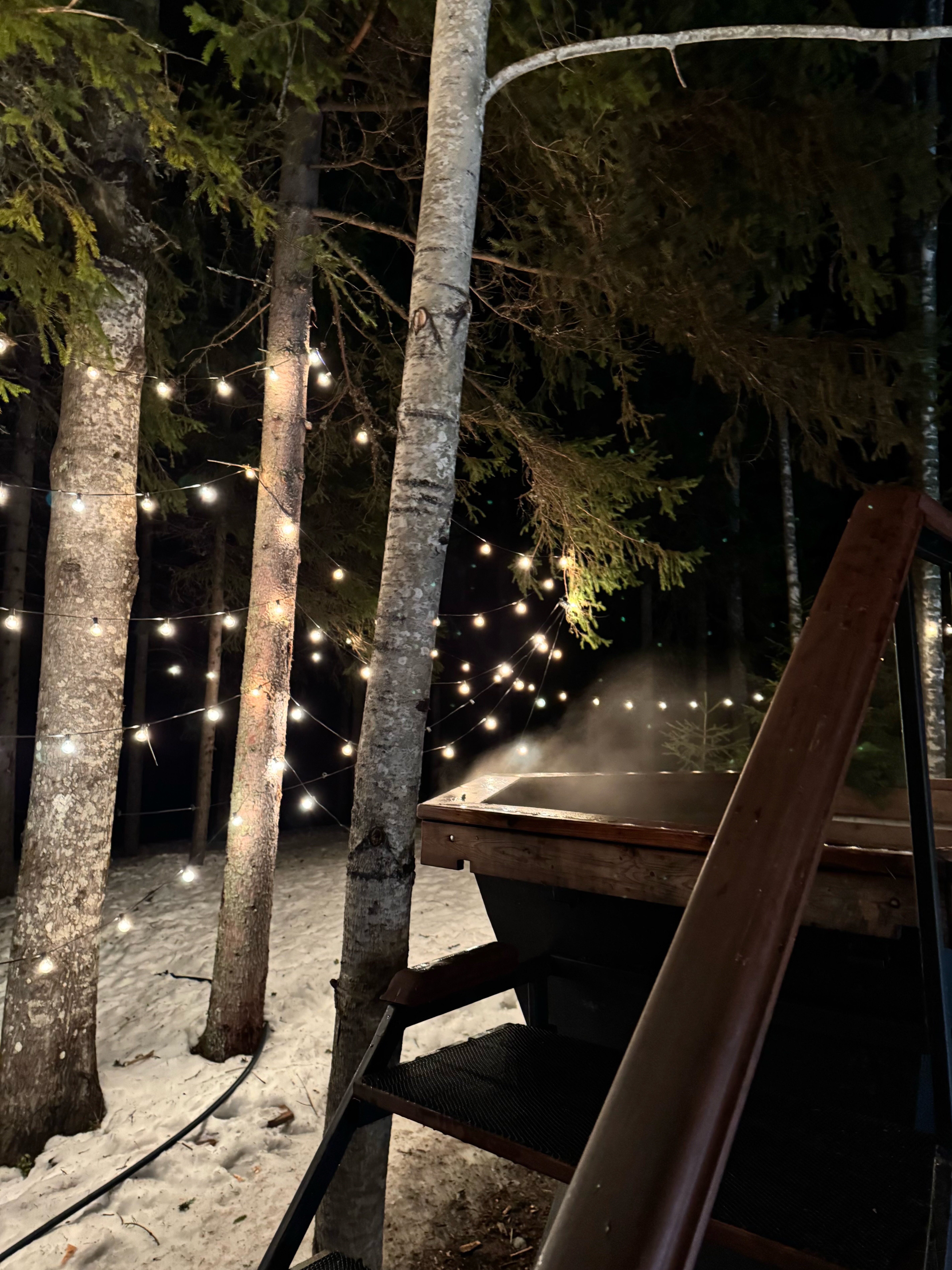 Фото Лес'Ок