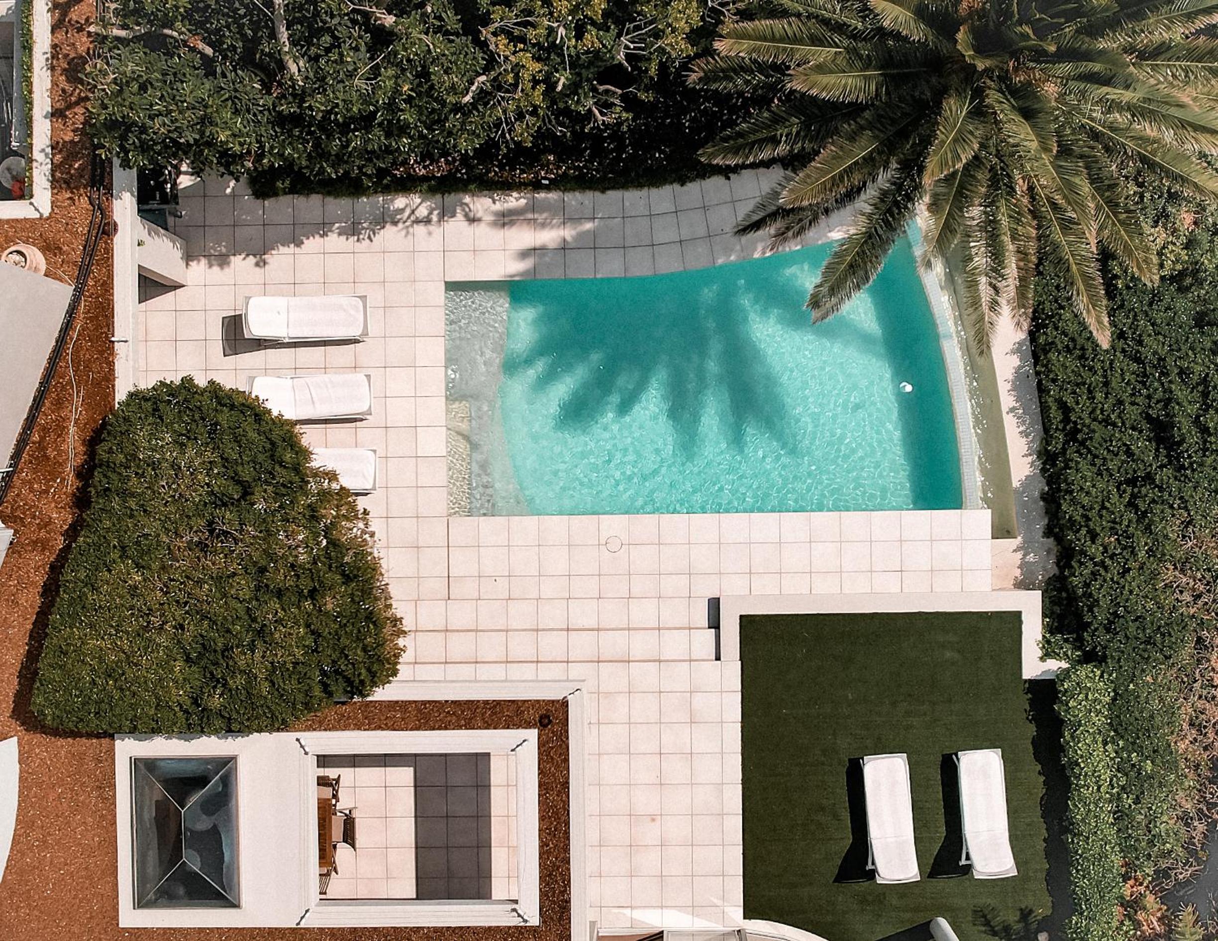 Фото Lion's View