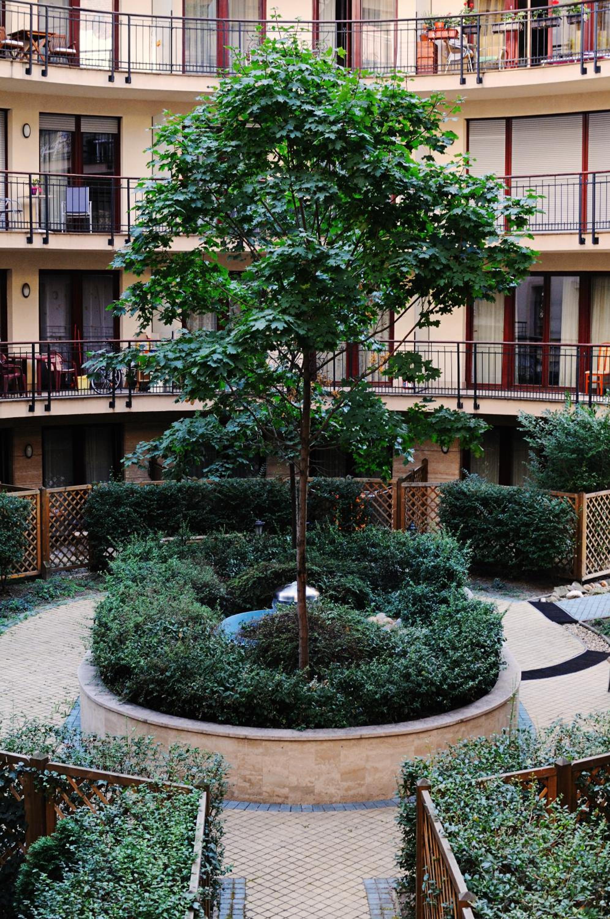 Фото King Apartments