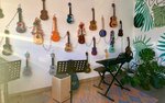 Укулеле клаб (Sem Vetrov Neighbourhood, 30 Let Pobedy Boulevard, 74А), music school