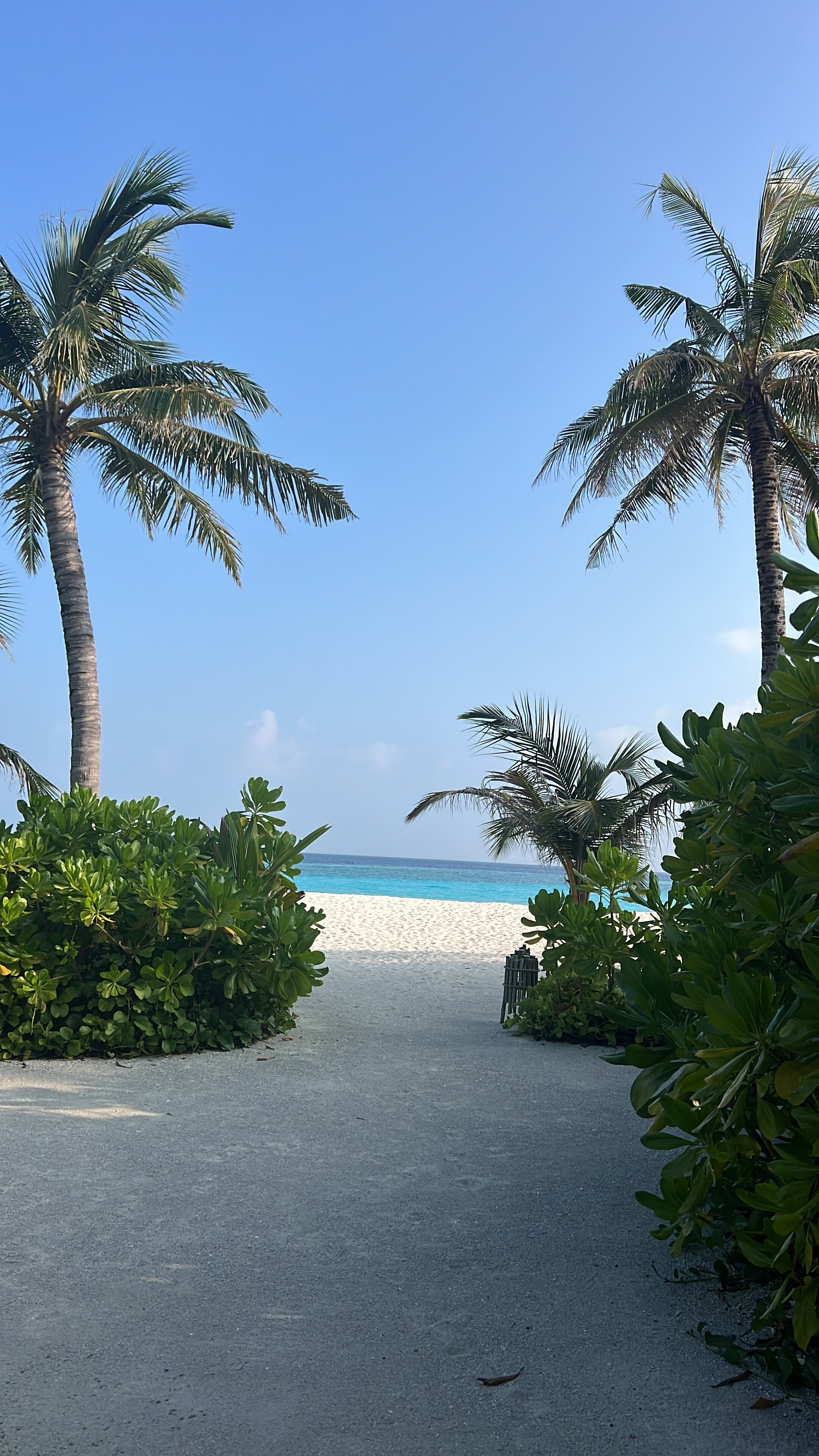 Фото Hilton Maldives Amingiri Resort & SPA