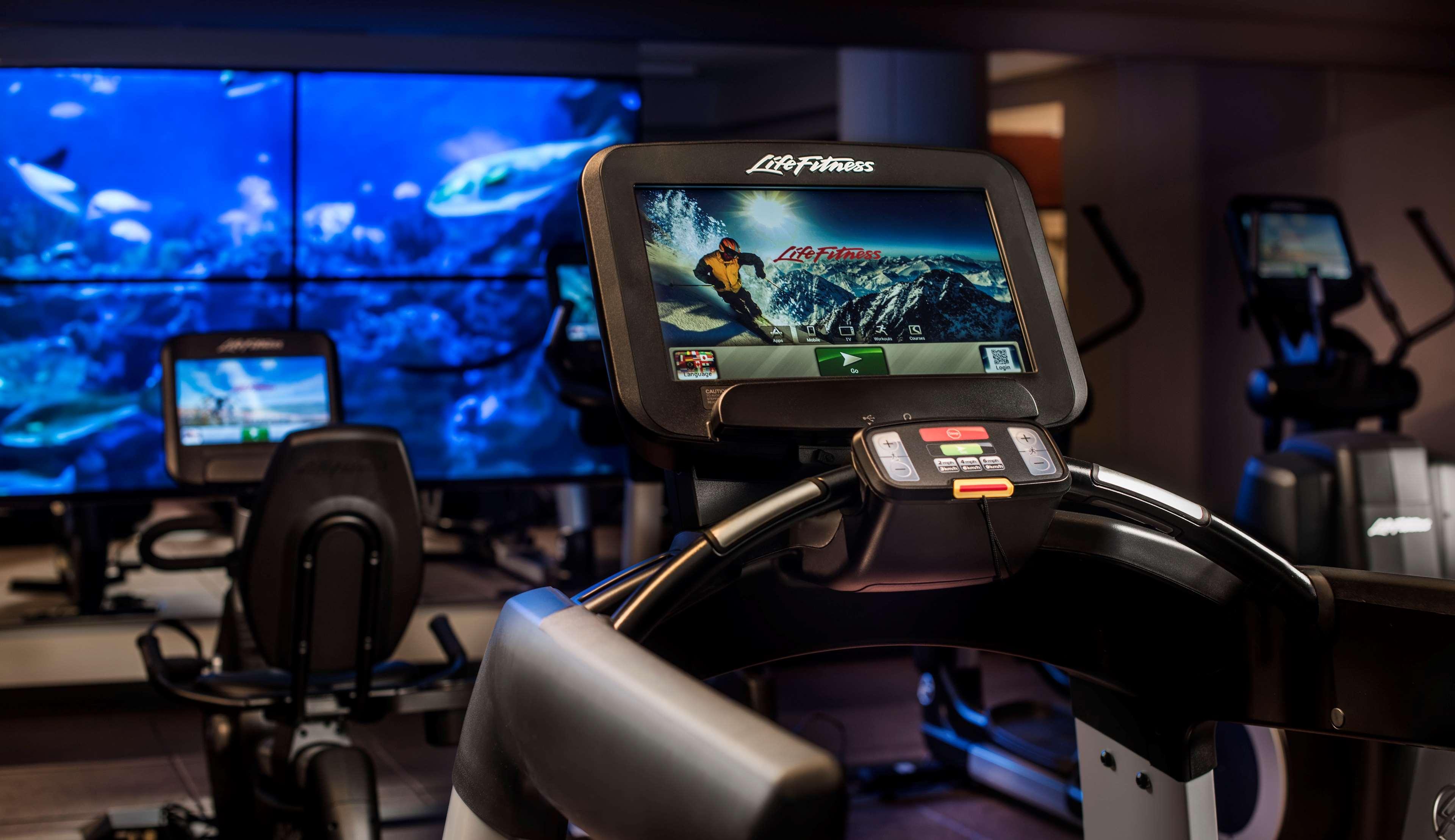 Фото Conrad Chicago