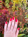 Anna Nails (Bogomolova Street, 3), nail salon