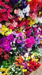 Искусственные цветы - Сувениры (stanitsa Starokorsunskaya, Bazarnaya ulitsa, 55/1), artificial plants and flowers