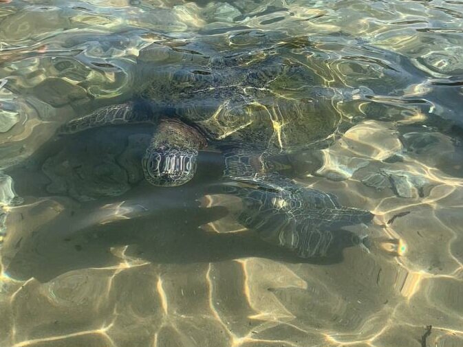 Фото Cinnamon Bey Beruwala