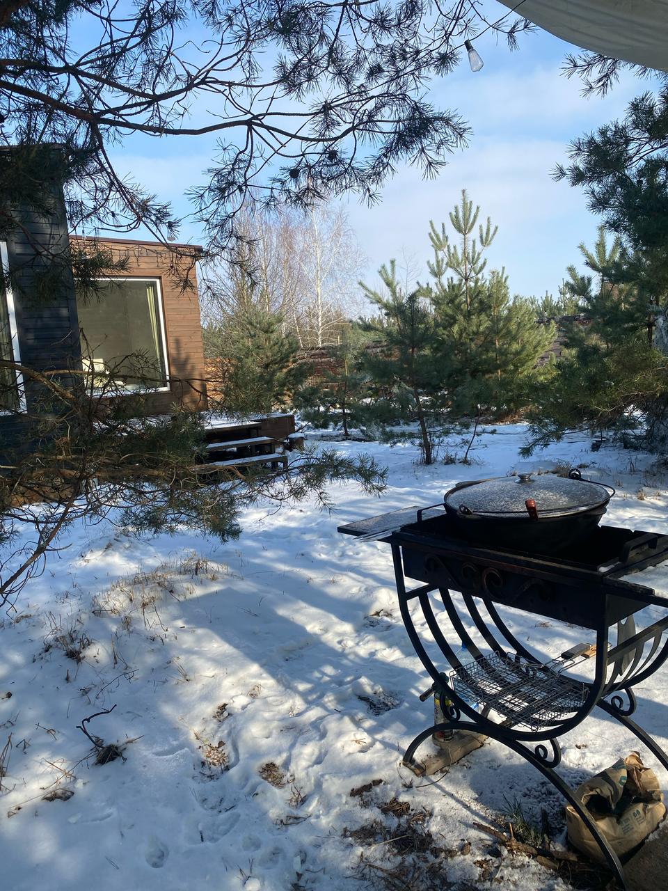 Фото Тишина