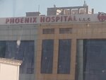 Phoenix Hospital Pharmacy L. L. C. (7/1, Al Wuzoun Street, Mussafah Community, Mohamed Bin Zayed City, Abu Dhabi), pharmacy