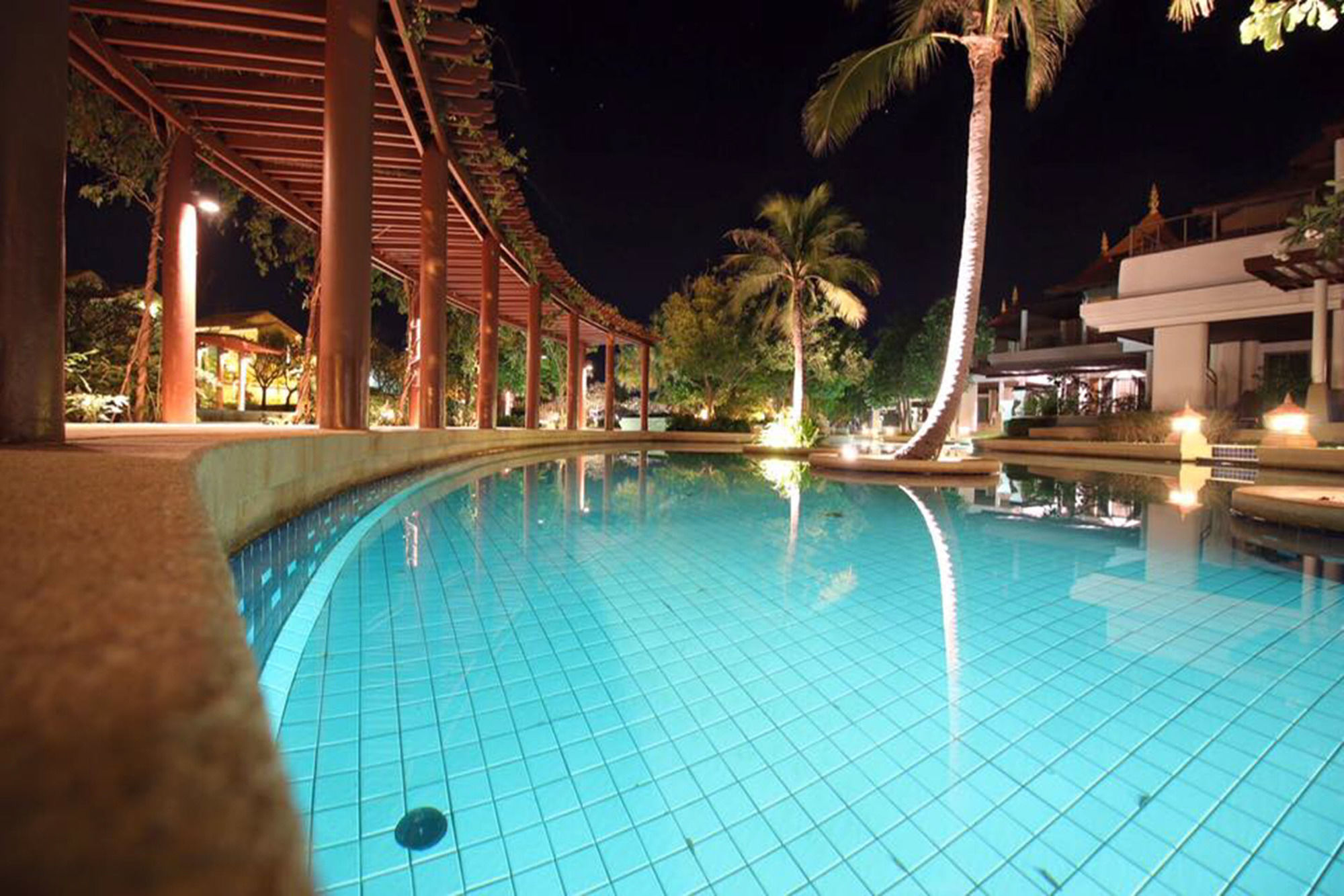 Фото 50624295898