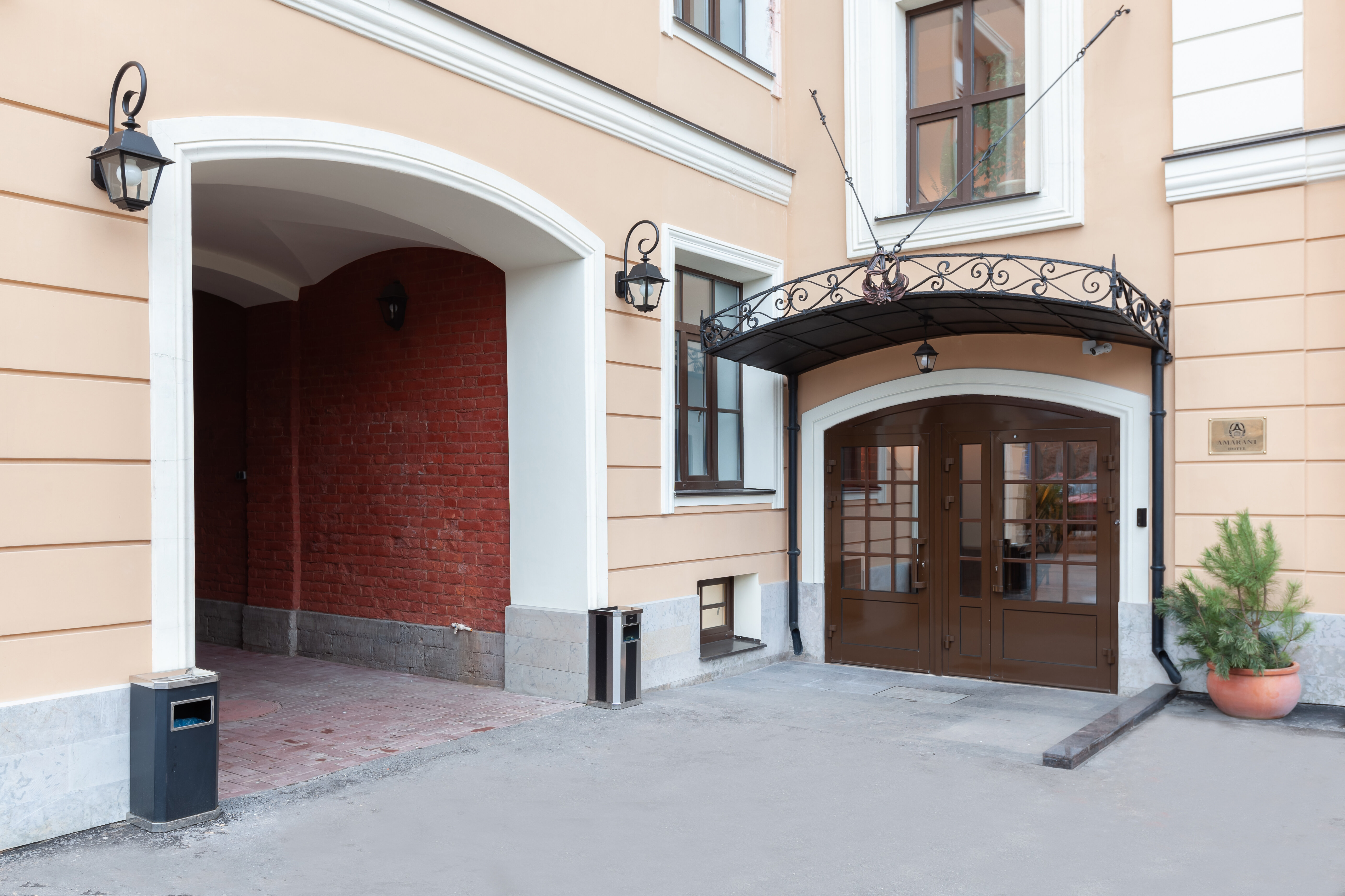 Фото Амарант