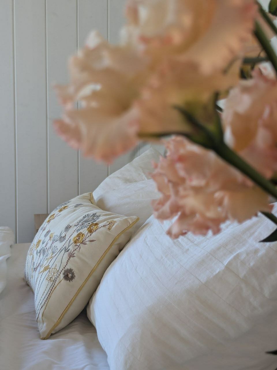 Фото Добро и Лес