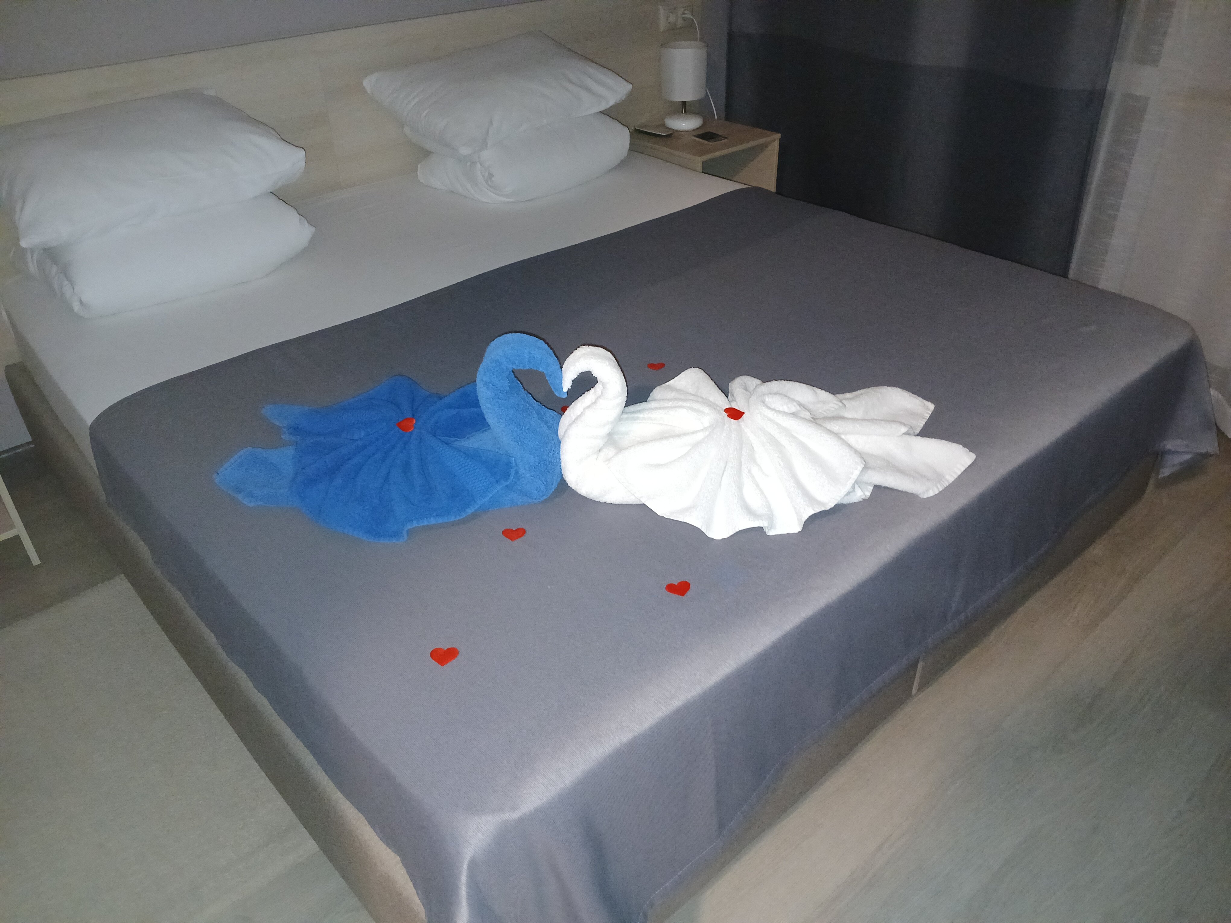 Фото Черноморская Звезда