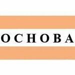 Основа (Komsomolskiy Avenue, 42с3), compañía de construcción