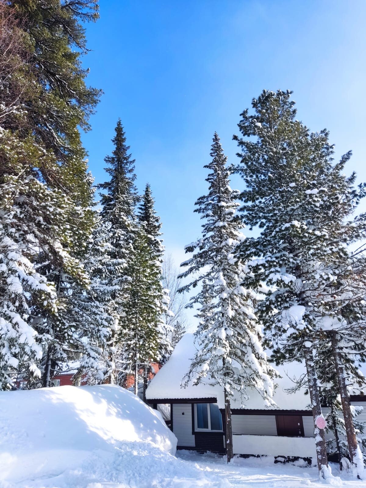 Фото 4 Стихии