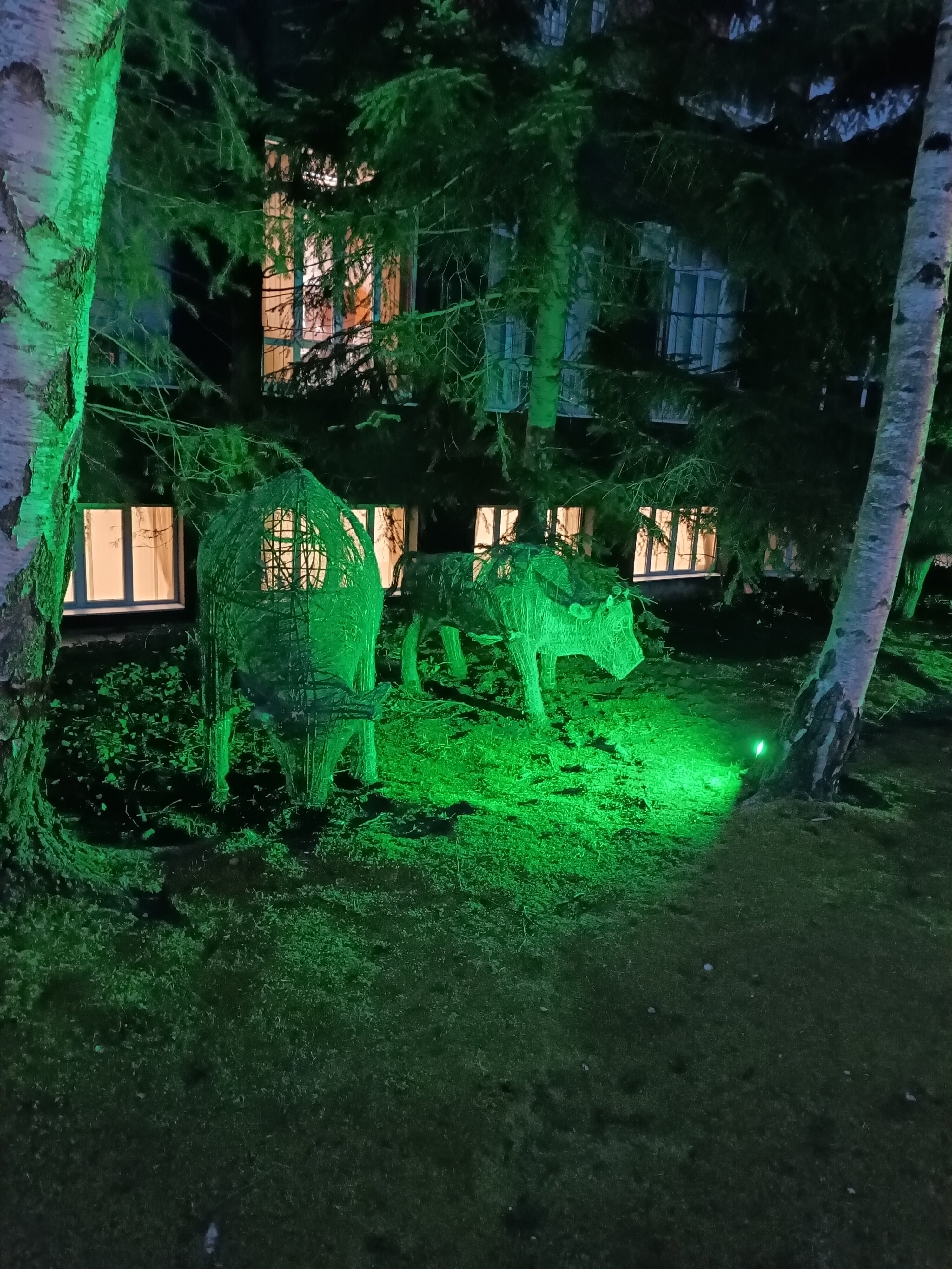 Фото Белая Русь