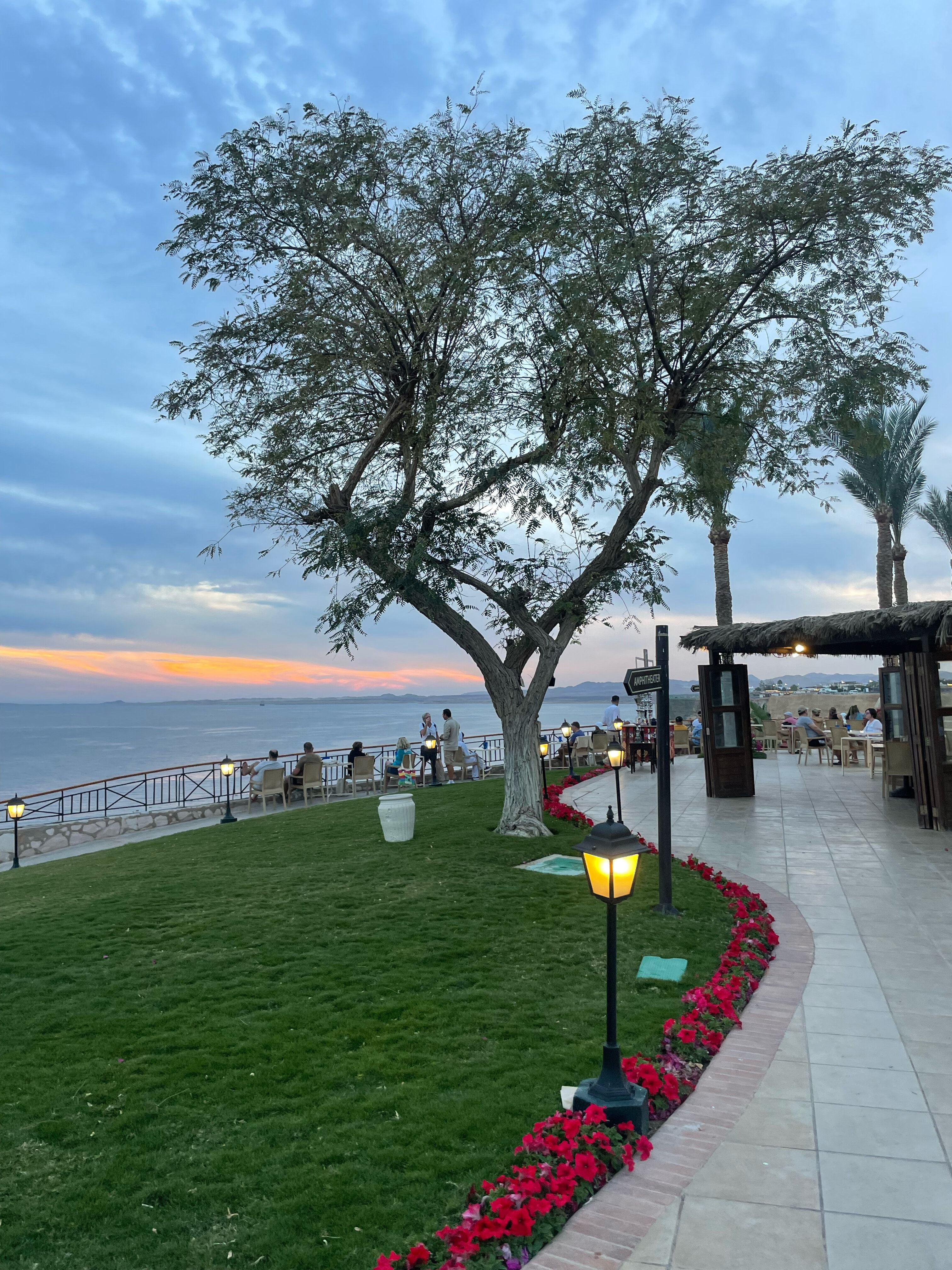 Фото Jaz Fanara Residence