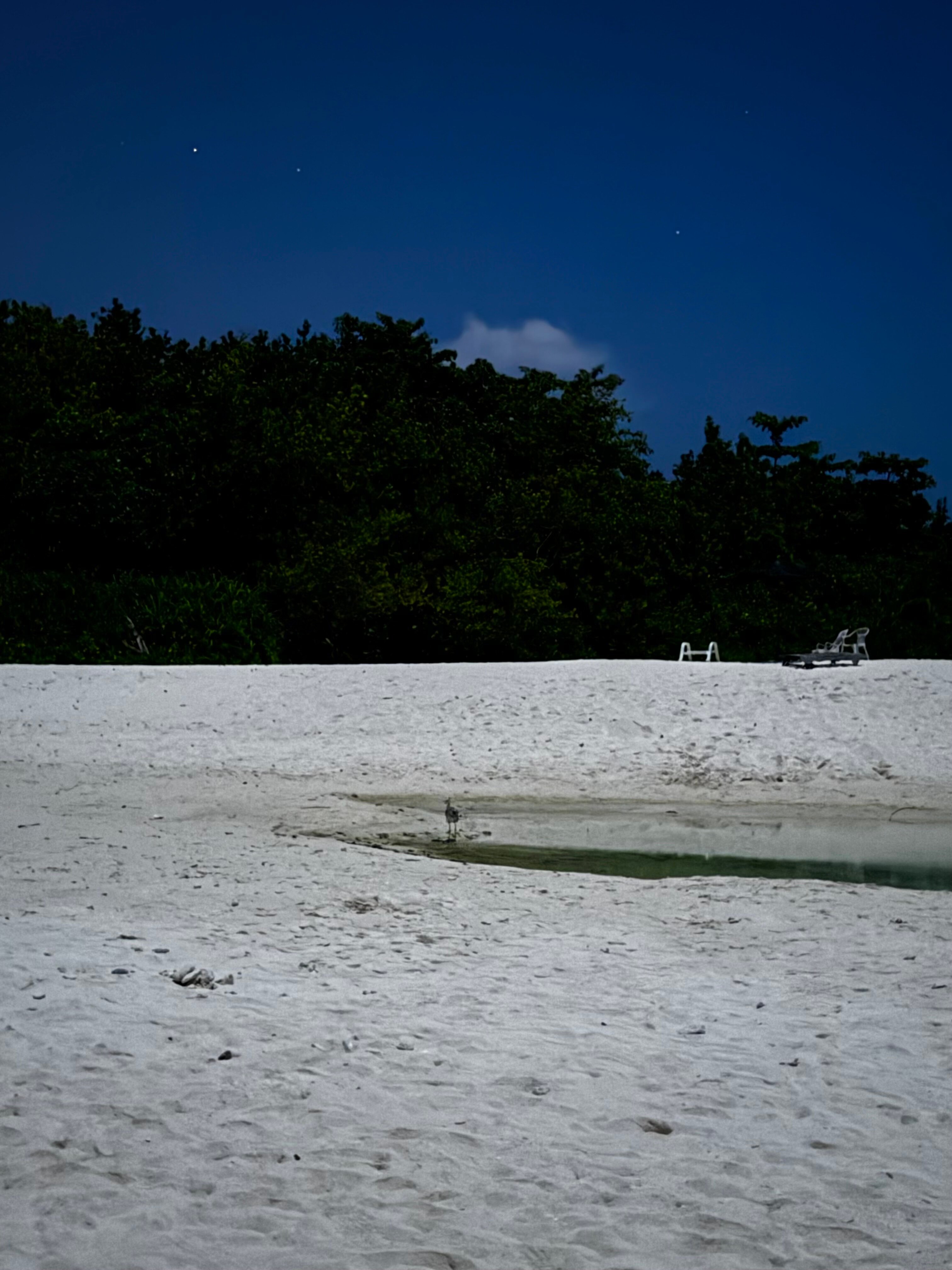 Фото Ranthari Hotel and SPA Ukulhas Maldives