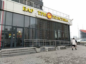 Tri Tolstyaka (Melnikova Street, 27), bar, pub