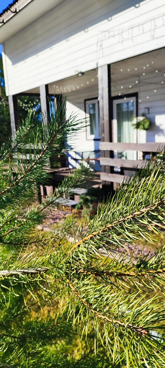 Фото Усадьба Заповедная