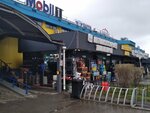 Car Accessories Store (Baıanaýyl shaǵyn aýdany, 35Б), auto accessories