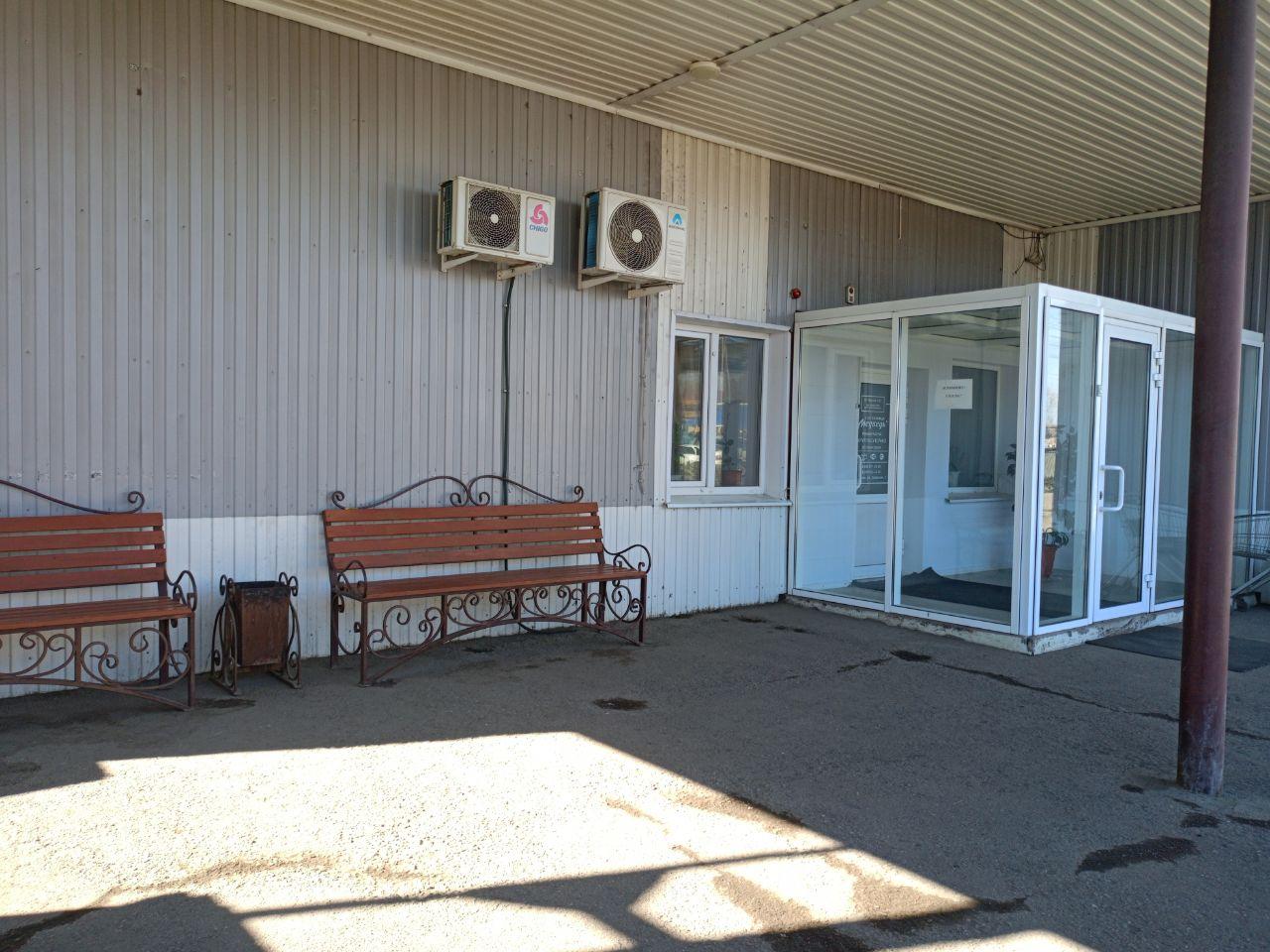 Фото Медведь