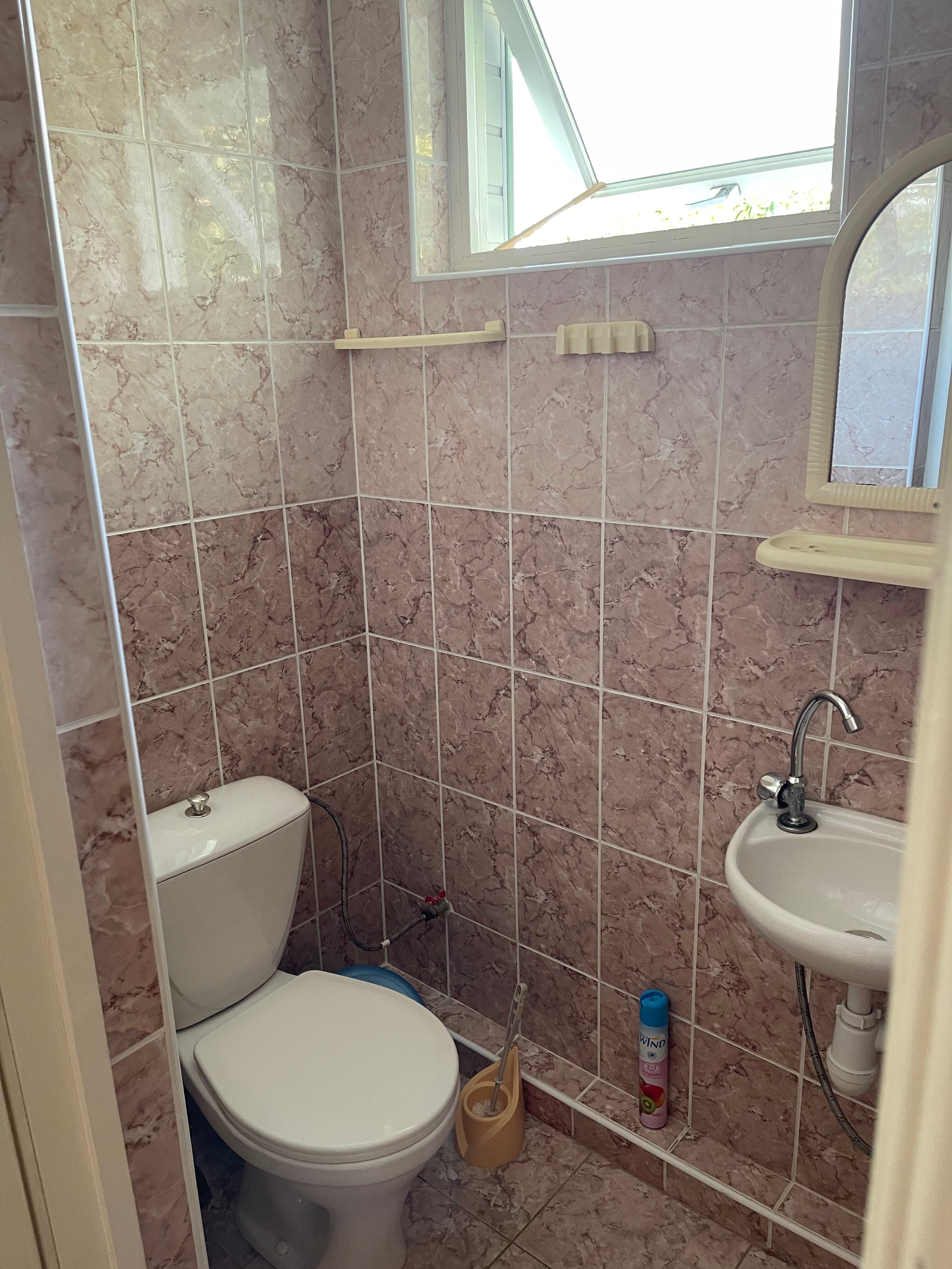 Фото Под Магнолией