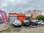 Ledi. Buket (V.I. Machugi Street, 2Ас8), flower shop