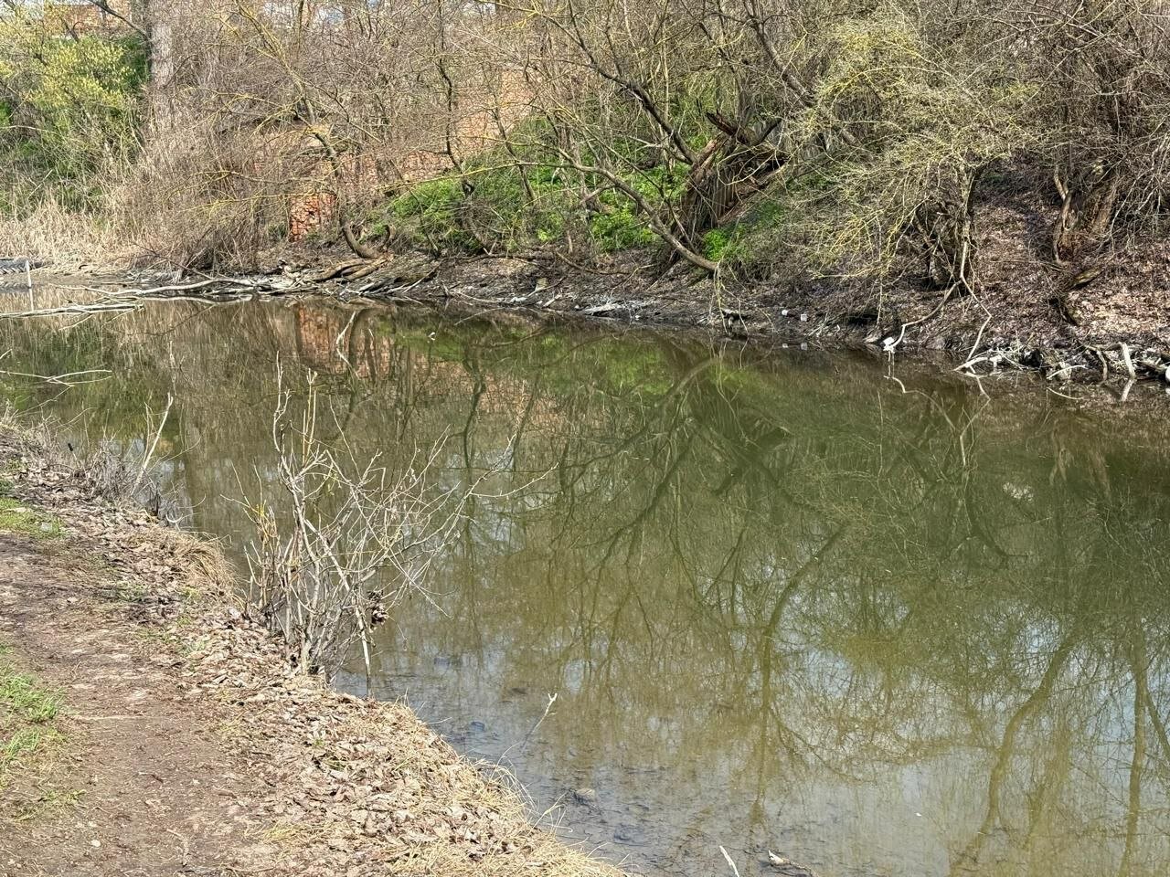 Фото Дом у речки