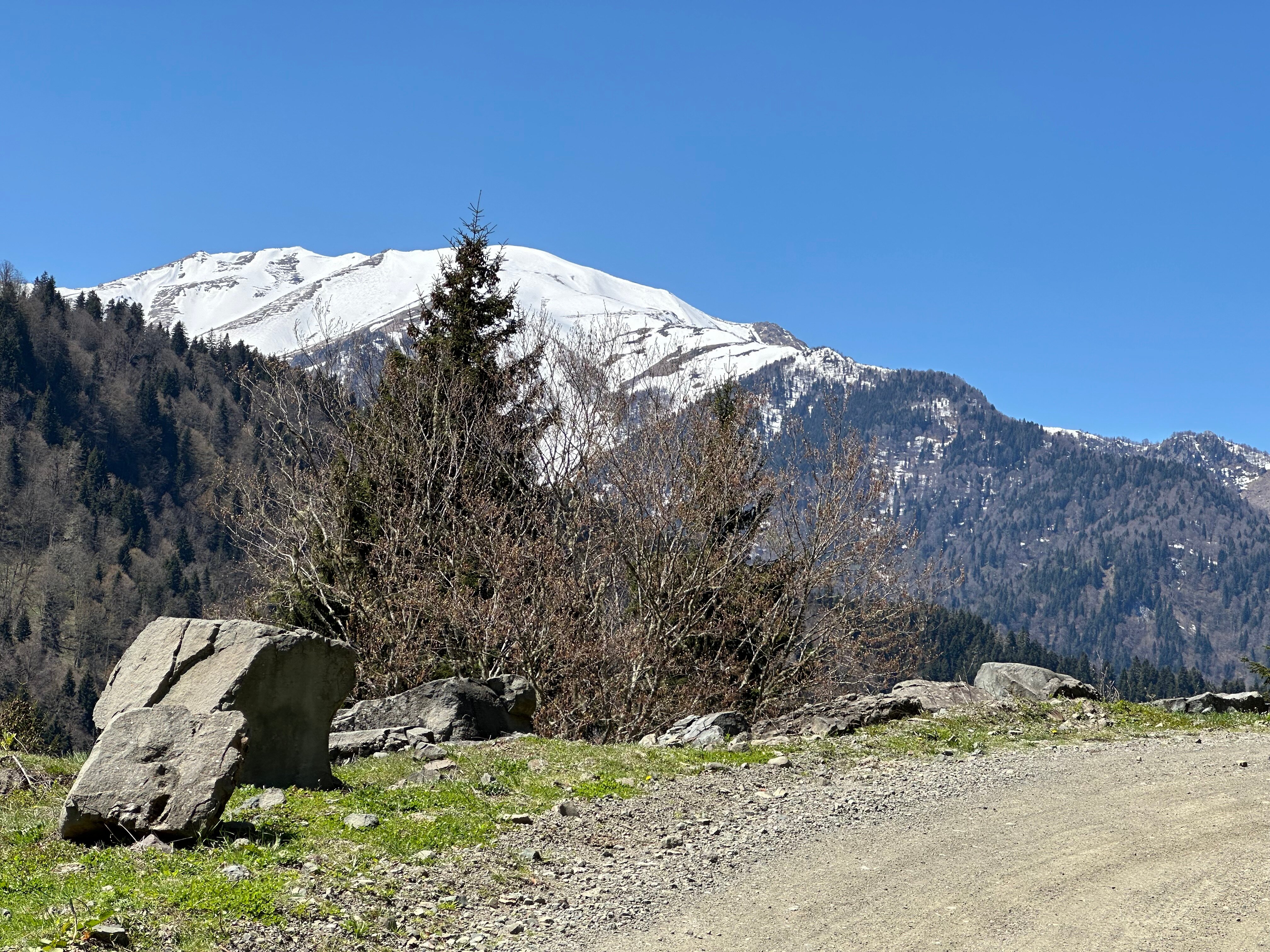 Фото Sairme Resort