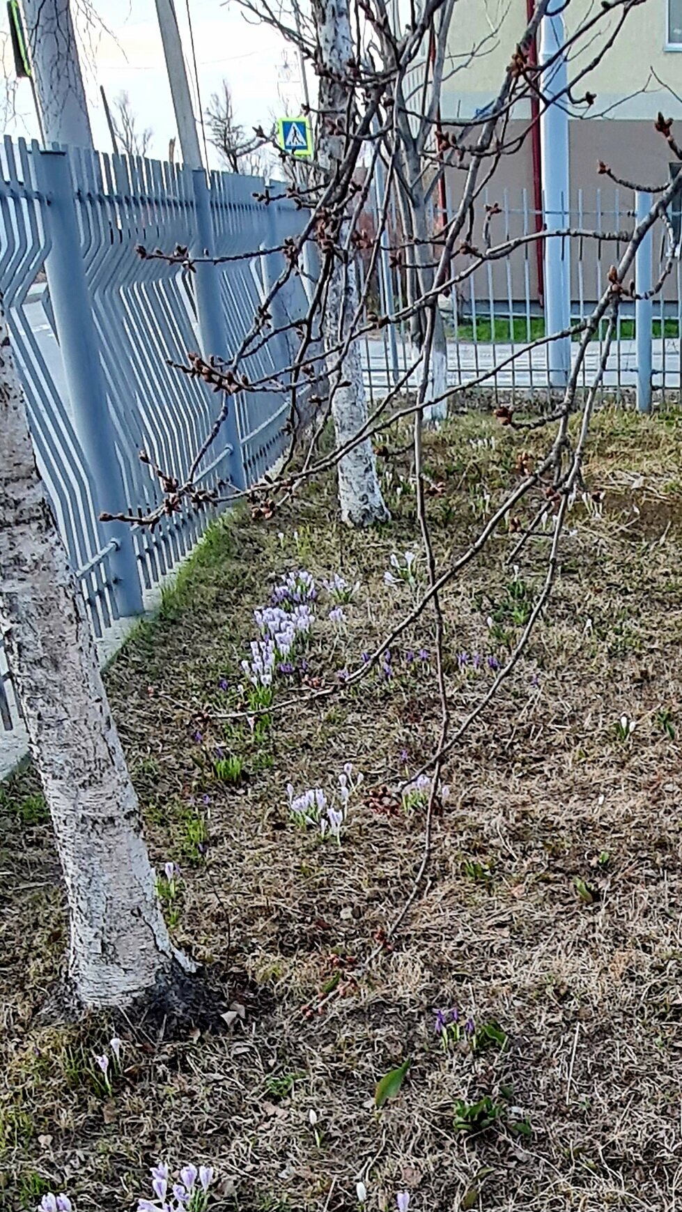 Фото Хостел123