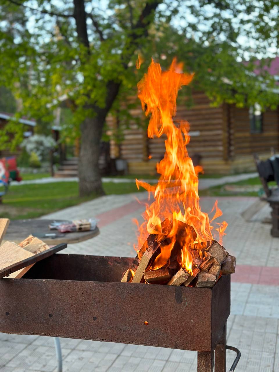 Фото Лесная гавань